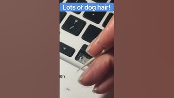 Replace Apple MacBook Keyboard Keys