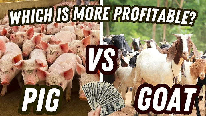Pig Farming vs Goat Farming: Which Is More Profitable?