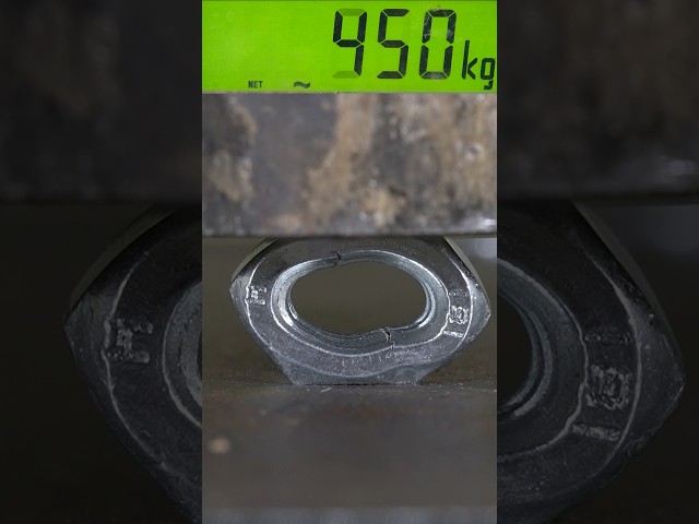 Crushing nuts with Hydraulic Press!