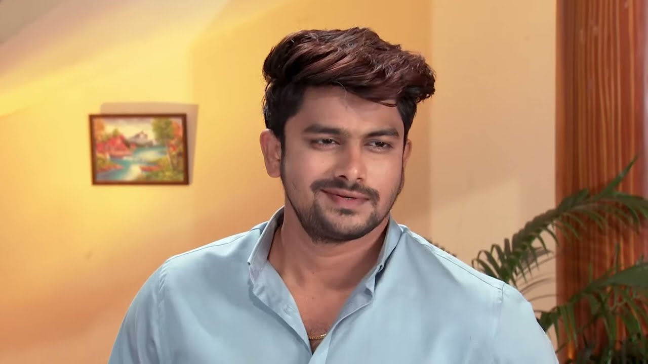 Kalyana Vaibhogam - Ep 745 - Meghana Lokesh - Telugu Tv Serial - Zee5 Telugu Classics