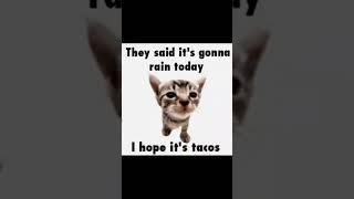 Who Remembers This Meme  secenteen memes foryou viral