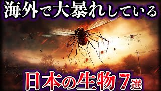 【ゆっくり解説】海外で大暴れしている日本の生物７選