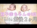 【双子育児】生後2ヶ月/赤ちゃんと過ごす1日/高齢出産/初産婦/里帰りなし！