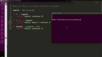 Python How to Check for an item in a Tuple