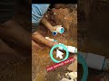 UPVC pipe direct supply line damage leakage 🧑‍🔧 #short #plumbing #mdsonu plumber