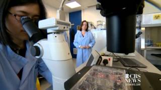 Scientists one step closer to growing new teeth