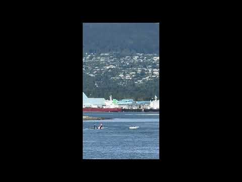 Float Plane collides