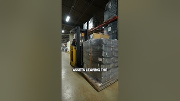 Asset Protection Strategies: Combating Embezzlement From Cradle to Grave