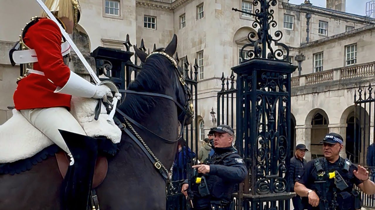 Королевская лошадь встревожена шумом туристов 🐎