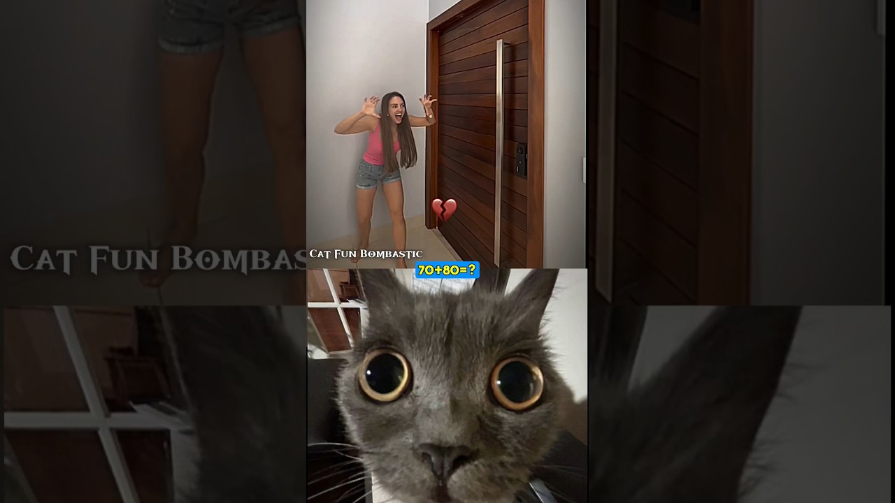 DAY - 21 give this video title 💀😺😅(warning answer)