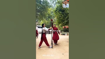 Cực khổ của nghề diễn xiếc #shortvideo #thưgiãn #shorts #vui #vuinhon