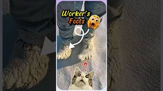 The Secret Behind Keeping Your House Warm