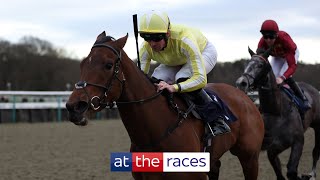 Too good! Oh So Grand wins the Winter Oaks at Lingfield!