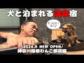 【犬連れ旅行神奈川箱根宿】犬と泊まれる宿「ゆるり箱根with DOGS」の貸し切り温泉が最強🐶🐶♨️1泊2日わんこ旅2/3 2024.9