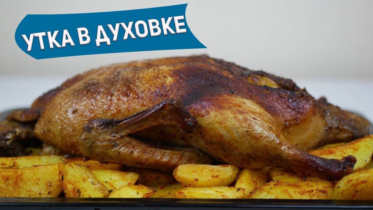 Приготовить утку на зиму. Приготовить утку на зиму