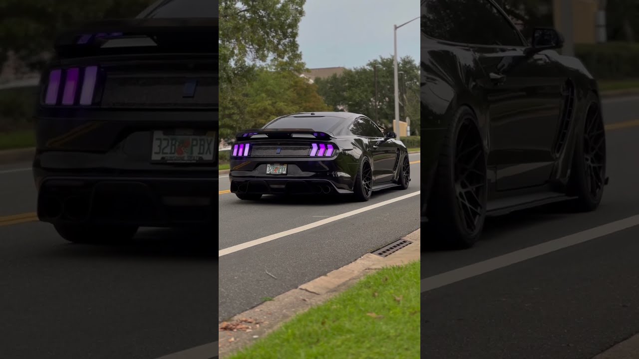 S650 Style Euro Taillights For S550 Mustangs S550mustang Mustang Fordmustang Ford