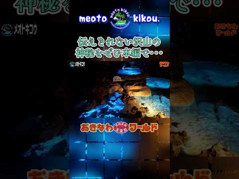 #Shorts 超絶自然の神秘✨️ 玉泉洞!おきなわワールド!沖縄県南城市🌺