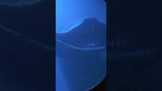 Biggest Underwater Creature