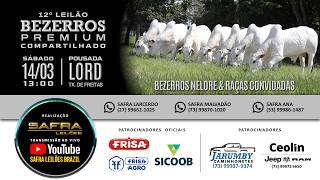 12º LEILÃO BEZERROS PREMIUM  - COMPARTILHADO  - AO VIVO - SAFRA LEILÕES BRAZIL