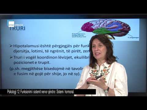 Psikologjia 12 - Funksionimi i sistemit nervor qëndror. Sistemi hormonal.