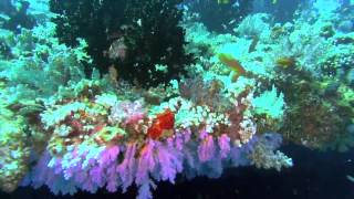 Scuba Diving At Club Med Kani, Maldives