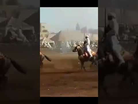 لحظة سق وط فارس على جواده موسم التبوريدة مديونة