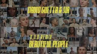 David Guetta & Sia - Beautiful People (D.O.D remix) [Visualizer]