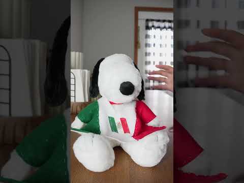Snoopy Is Ready For Mexican Independence Day Ricksea Rickseavlogs Snoopy Mexico