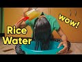 Yao women rice water   for extreme hair growth fermented
