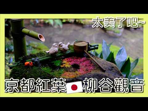 京都西山楊谷寺！秘密景點但讓我嚇到的是...竟然有這麼多台灣遊客｜長岡京市｜柳谷觀音｜眼睛｜DJI NEO 空拍 。The Youkoku Temple in Kyoto.【阪哥｜160】Vlog.