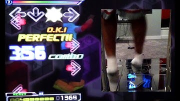 DDR Extreme 2 PARANOiA survivor MAX Expert A (457 Max Combo) (with footcam)