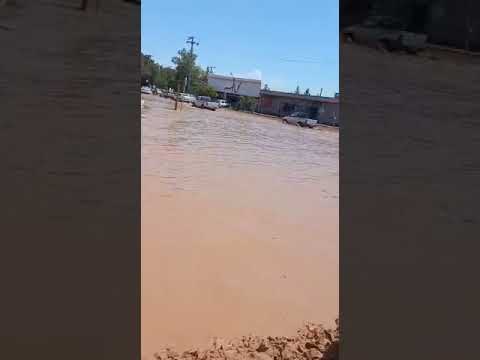 رفسنجان میدان علی ابن ابیطالب