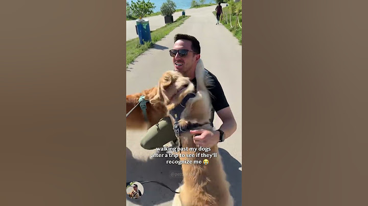 Walk past my dog and see if it can recognize me.#dog #dogsoftiktok #doglover #funny #funnyvideos
