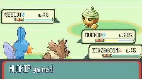 Pokemon Sapphire Walkthrough - Part 4