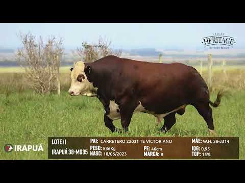 LOTE 11   IRAPUÁ 38 M035
