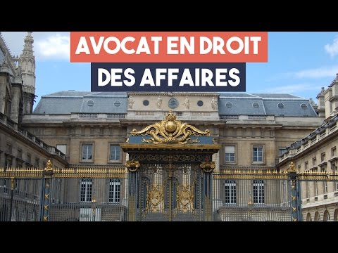 Miniature de la vidéo Avocats : la spécialité droit des affaires