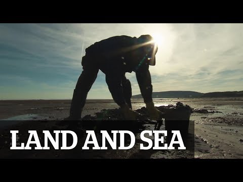 Land & Sea: