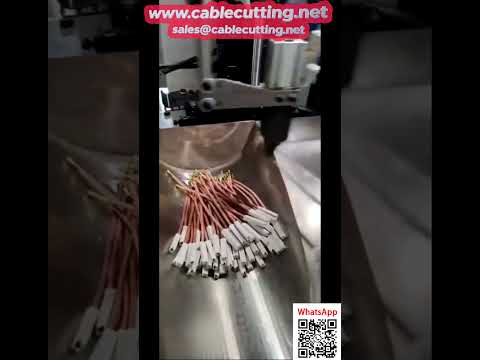 Automatic Dual-Head Crimping and Single-Head Housing Insertion Machine