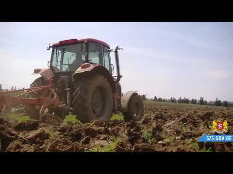 ალექსანდრე მოწერელია საგაზაფხულო სამუშაოების მიმდინარეობას გაეცნო