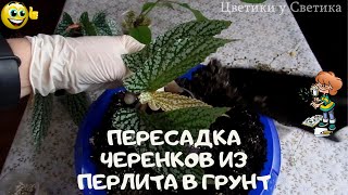 :        .    