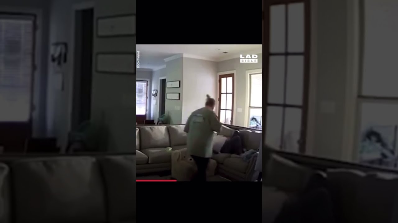 Kid Bites Dad S 