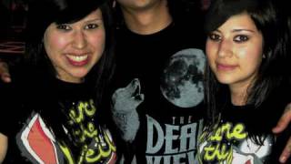 Caraphernelia By Pierce the Veil NEW SONG WITH LYRICS
