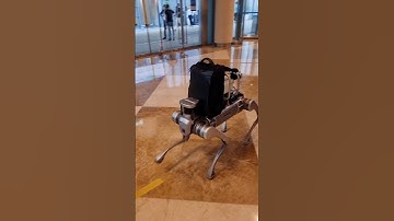Gitex 2025 Dubai: AI Robot Dog is the Ultimate office Assistant! 😲