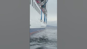 Thumbnail of FITNESS AT SEA ? Really ??? #travel #cruise #funny #exercise #shorts #fitness
