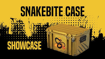 NEW CASE | SNAKEBITE CASE #SKINSCSGO #SHOWCASE