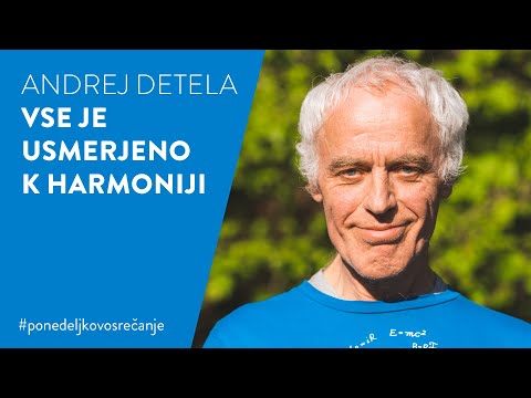 VSE JE USMERJENO K HARMONIJI, Andrej Detela