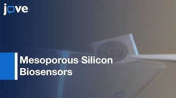 Optical Detection Of E. coli Bacteria By Mesoporous Silicon Biosensors l Protocol Preview