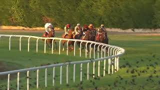 Vidéo de la course PMU PRIX PANACEE