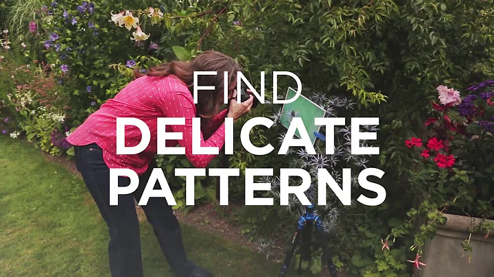Creating Painterly Photographs (Official Trailer) ...