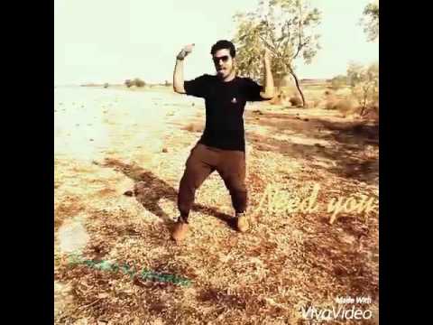 Saarainodu Title Vedio Song Full